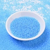 MIYUKI Round Rocailles Beads X-SEED-G007-RR0148F-2