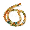 Natural Peacock Agate Beads Strands G-G444-8mm-02-4