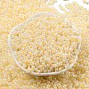 Glass Seed Beads SEED-K009-02B-16-2