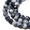 Natural Sapphire Beads Strands G-G343-B05-4mm-4