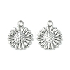 Non-Tarnish 304 Stainless Steel Charms LS-STAS-L269-062P-2
