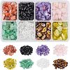 Natural Gemstone and Glass Chip Beads Sets G-NB0001-51-1