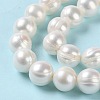 Natural Cultured Freshwater Pearl Beads Strands PEAR-E018-03-4