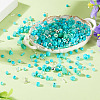 50g Glass Seed Beads SEED-TA0001-67C-5