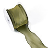 Polyester Mesh Ribbon SRIB-TAC0002-29A-02-3
