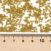 MIYUKI Delica Beads X-SEED-J020-DB0665-3