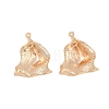 Brass Pendants KK-G532-09G-1