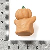 Halloween Ornaments AJEW-S001-02B-3