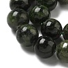 Natural Green Diopside Beads Strands G-K382-B01-03-4