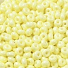 Baking Paint Glass Seed Beads SEED-B001-02A-13-3