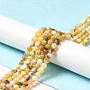 Natural Yellow Opal Beads Strands G-G992-A02-B-2