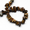 Natural Tiger Eye Stone Bead Strands G-R192-B32-2