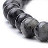 Natural Larvikite Beads Strands G-S259-06-8mm-3