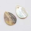 Flat Teardrop Natural Akoya Shell Charms SHEL-N031-06-2