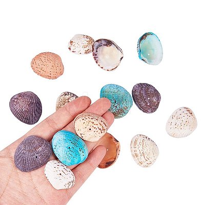 Dyed Natural Shell Beads BSHE-PH0003-02-1