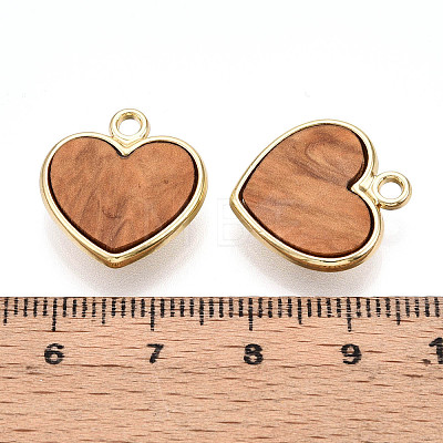 Alloy Pendants PALLOY-N177-10B-G-1