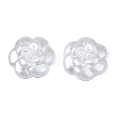 Opaque Resin Cabochons CRES-S302-56-1