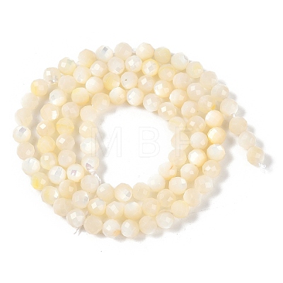 Natural White Shell Beads Strands SSHEL-E571-38A-4mm-1