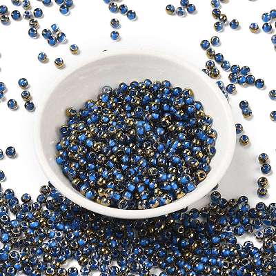 Glass Seed Beads SEED-H002-B-D215-1