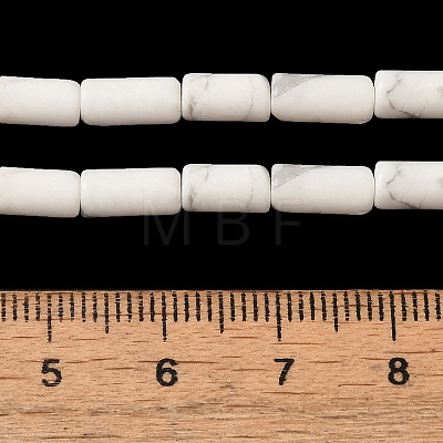 Natural Howlite Beads Strands G-B091-A17-01-1