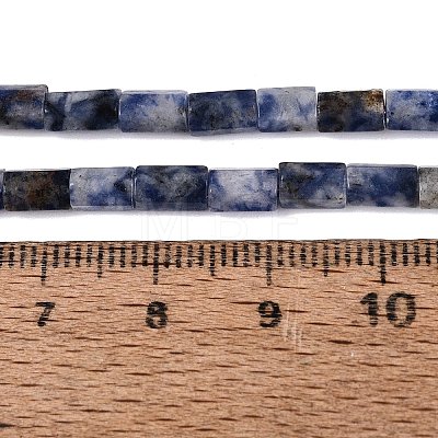 Natural Blue Spot Jasper Beads Strands GG-N002-01A-25-1