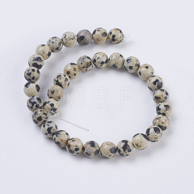Natural Dalmation Jasper Beads Strands X-G-G515-6mm-06-1