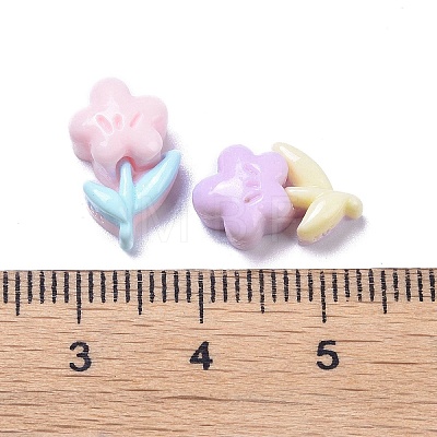 Opaque Cute Resin Decoden Cabochons RESI-B024-03K-1