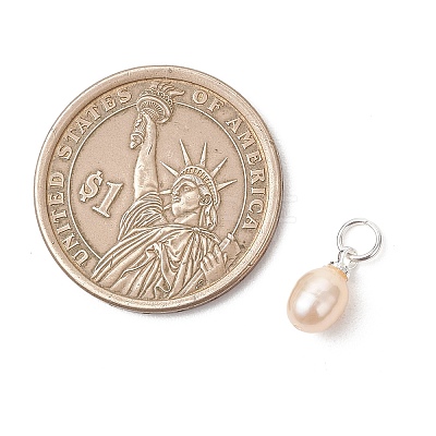 Natural Cultured Freshwater Pearl Pendants PALLOY-JF05172-02-1