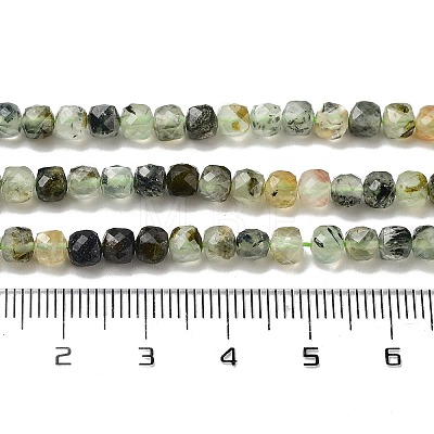Natural Prehnite Beads Strands X-G-B088-E16-04-1