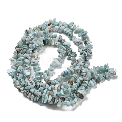 Natural Larimar Beads Strands G-G0003-B40-1