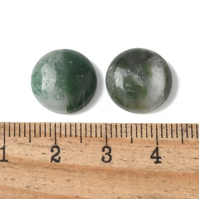 Natural Qinghai Jade Cabochons G-Z075-06F-1