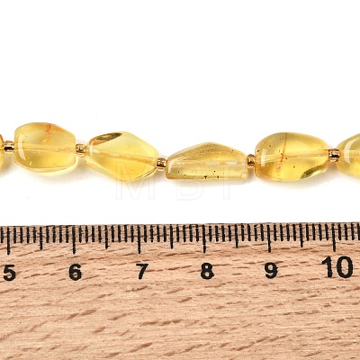 Natural Amber Beads Strands G-K376-G03-03-1