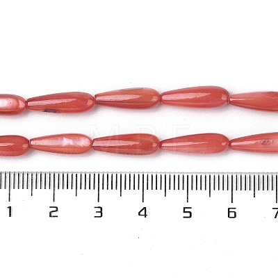 Natural Freshwater Shell Beads Strands SHEL-A004-03F-1