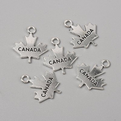 Tibetan Style Alloy Pendants FIND-CJC0018-29AS-1