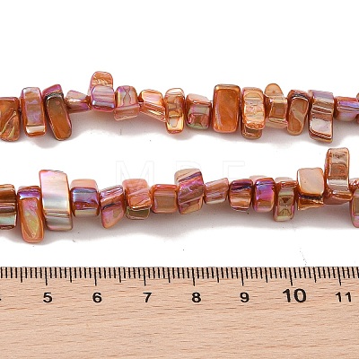 Natural Freshwater Shell Beads Strands BSHE-H018-07D-1