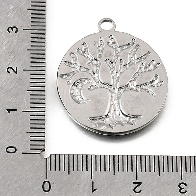 304 Stainless Steel Pendants STAS-N108-111P-1