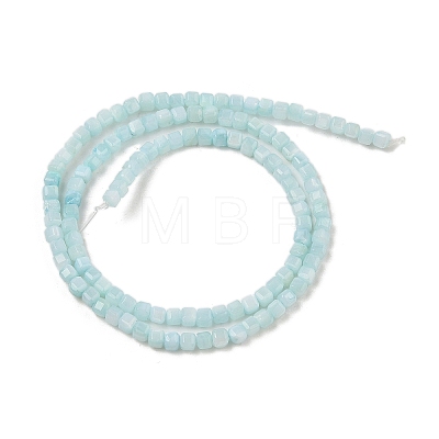 Natural Freshwater Shell Dyed Beads Strands SHEL-R100-11A-03-1