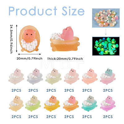 24Pcs 12 Colors Luminous Translucent Resin Cabochons DIY-TA0004-60-1