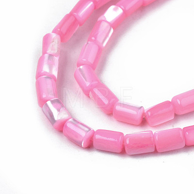 Natural Trochid Shell/Trochus Shell Beads Strands SHEL-N003-26-B04-1