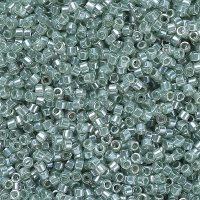 MIYUKI Delica Beads X-SEED-J020-DB1484-1