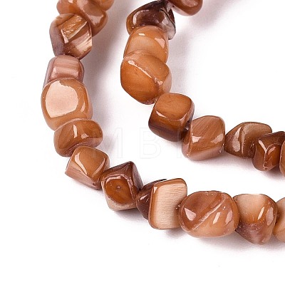 Natural Freshwater Shell Beads Strands SHEL-N037-04C-1