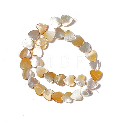 Natural Yellow Shell Beads Strands SHEL-F003-01B-1