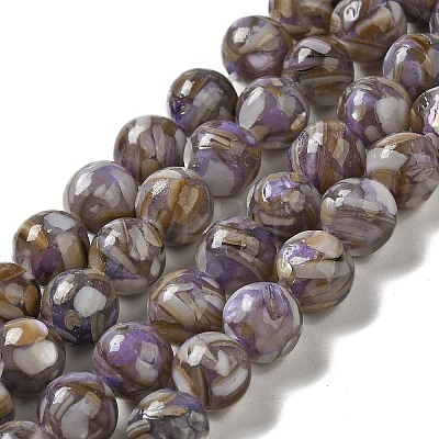 Freshwater Shell Beads Strands BSHE-L039-08B-10-1