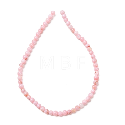 Dyed Natural Freshwater Shell Beads Strands SH-CBA2978-07B-01-1