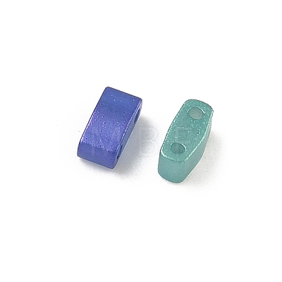 Glass 2-Hole Baking Paint Glass Seed Beads GLAA-G130-01E-1