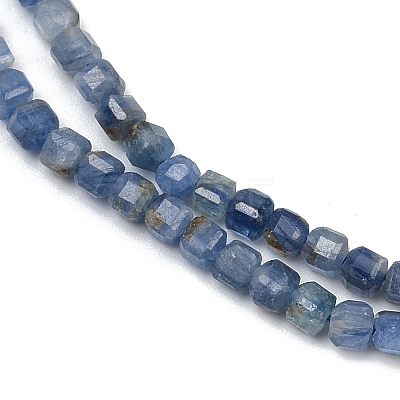 Natural Kyanite Beads Strands G-B088-E24-03A-1