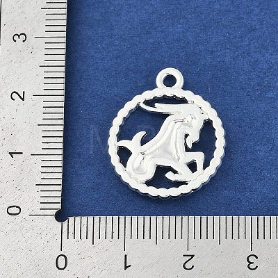 Twelve Constellations Alloy Pendants PALLOY-Q006-01C-S-1