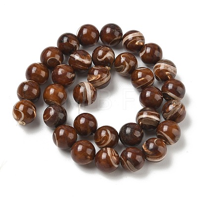 Natural Trochus Shell Beads Strands SH-CBAFEDD-02D-1