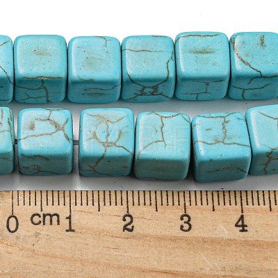 Dyed Synthetic Turquoise Beads Strands G-G075-B02-01-1