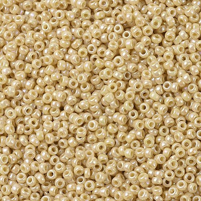 MIYUKI Round Rocailles Beads X-SEED-G007-RR0488-1